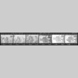 Negative film strip for Farewell to Manzanar scene stills (ddr-densho-317-211)