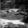 Pond with landscaping (ddr-densho-377-1495)