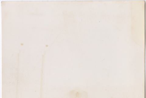 Tomoye Nozawa standing in front of fountain (ddr-densho-423-473)