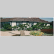 Straus garden project (ddr-densho-377-3025)