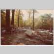 Landscaping under construction (ddr-densho-377-2566)