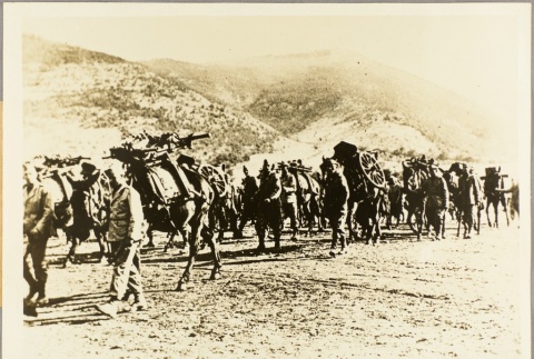 Italian soldiers guiding packhorses (ddr-njpa-13-679)