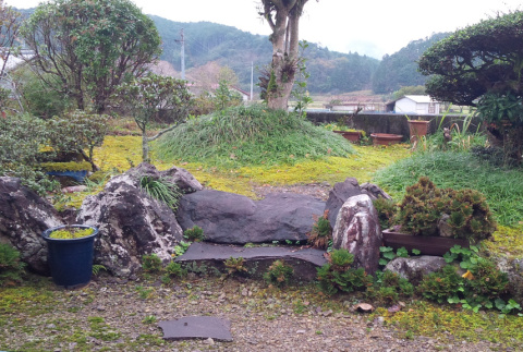 Garden of Kubota family home, Naro (ddr-densho-354-2254)