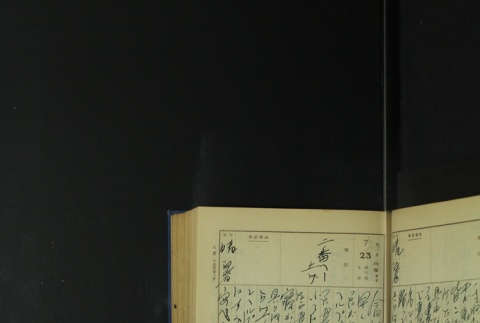 Page 229 (ddr-densho-255-5-master-18e8b35daa)
