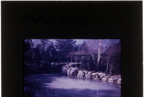 Pond at the Marcus project (ddr-densho-377-790)