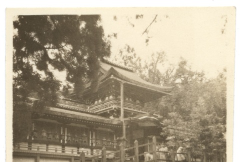 Visiting Kasuga Shrine in Nara (ddr-one-2-462)