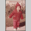 Toddler in red hoodie (ddr-densho-523-505)