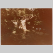 People walking under arch (ddr-densho-377-2036)