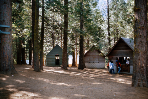 View of the cabins at Lake Sequoia Retreat (ddr-densho-336-301)