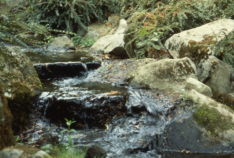 Waterfall in the Garden (ddr-densho-354-919)