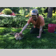 Tuesdays in the Garden, volunteer petting a cat (ddr-densho-354-2450)