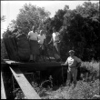 Four men and large tree on back of truck (ddr-densho-377-1566)
