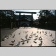 Birds and temple (ddr-densho-1007-1340)