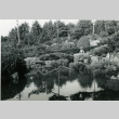 Kubota Garden (ddr-densho-354-1988)