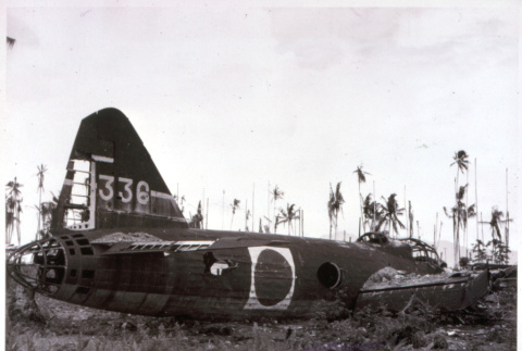 Wrecked Japanese plane (ddr-densho-1007-700)