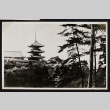 View of three buildings through the trees (ddr-densho-404-151)