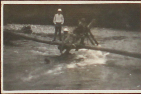 A group standing on a log bridge over a river (ddr-densho-278-69)