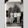 Three men standing by small tree (ddr-densho-587-26)