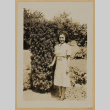 Woman next to bush (ddr-densho-287-613)