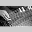 Closeup shot of koto playing (ddr-densho-1007-1319)