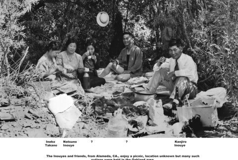Group at picnic (ddr-ajah-6-489)
