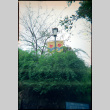 Banners on light pole  with 