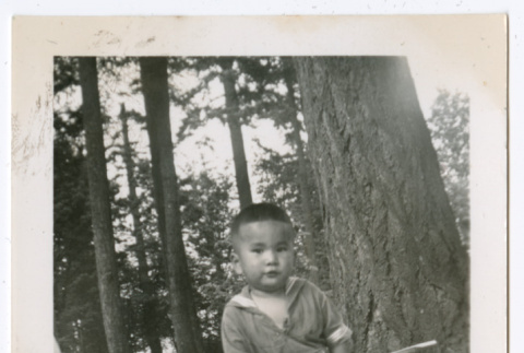 Photo of a child on a tricycle (ddr-densho-483-740)