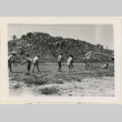 Marble hunt at a picnic (ddr-densho-37-1078)