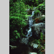 Waterfall on the Mountainside (ddr-densho-354-1005)