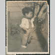 Early Steps of Bobby (ddr-densho-378-1010)