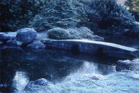 Bridge in the Japanese Garden (ddr-densho-354-777)