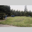 Pine pruning workshop (ddr-densho-354-2006)
