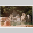 Pool with rock feature (ddr-densho-377-2436)