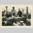 Mr. Nakata and son in a greenhouse (ddr-densho-37-1193)