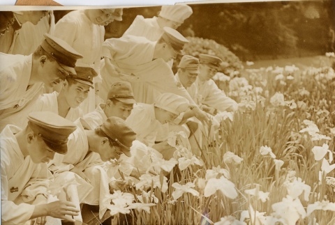A group of patients [?] looking at flowers in a field (ddr-njpa-6-23)