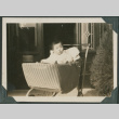 Baby in carriage (ddr-densho-355-402)