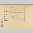 Envelope of Gisuke Fujiwara photographs (ddr-njpa-5-920)