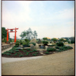 Landscaping and Torii Gate at D. Hill Nursery (ddr-densho-377-1446)