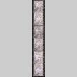 Negative film strip for Farewell to Manzanar scene stills (ddr-densho-317-88)