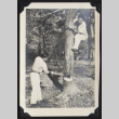 Man chopping down tree (ddr-densho-542-772)