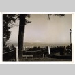 Mt. Hood Lookout Point (ddr-one-1-584)