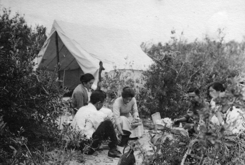 Group at a picnic with tent in background (ddr-ajah-6-730)