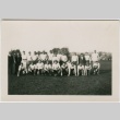 Football team and coaches (ddr-densho-313-45)