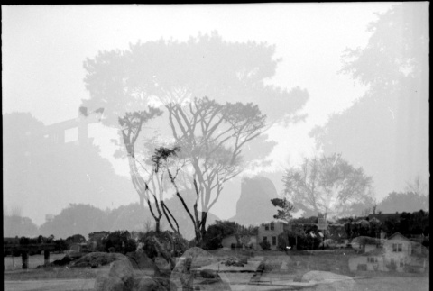 Double exposure, landscaping at D. Hill Nursery (ddr-densho-377-1416)