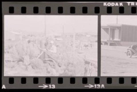 Negative film strip for Farewell to Manzanar scene stills (ddr-densho-317-71)