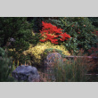 Japanese Garden (ddr-densho-354-630)