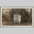 Three young women (ddr-densho-259-174)