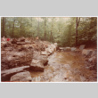 Landscaping under construction (ddr-densho-377-2564)