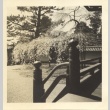 Temple Gardens in Kyoto (ddr-one-2-31)