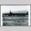 Photograph of a borax train at Furnace Creek Camp in Death Valley (ddr-csujad-47-104)
